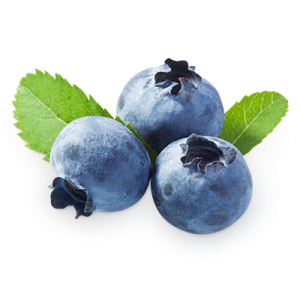 Blueberries PNG