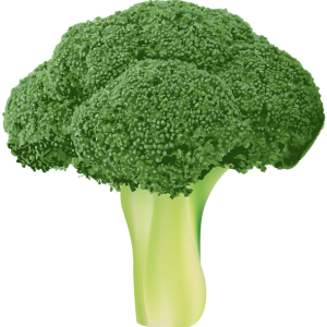 Broccoli PNG