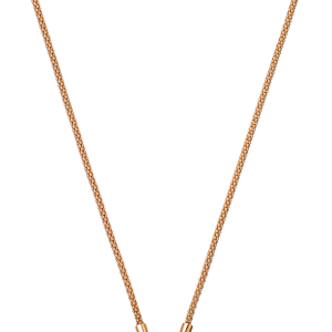 Necklace PNG