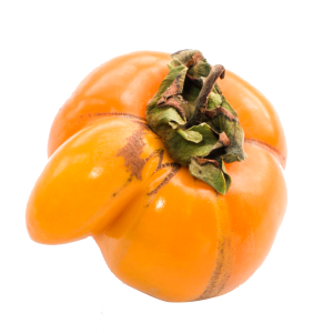 Persimmon PNG