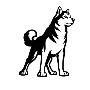 Husky PNG