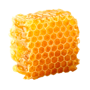 Honey PNG