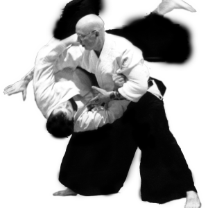 Aikido PNG