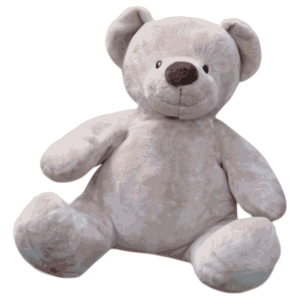 Teddy bear PNG