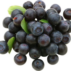 Blueberries PNG