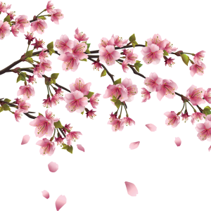 Sakura PNG