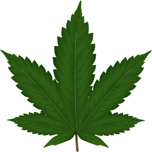 Cannabis PNG