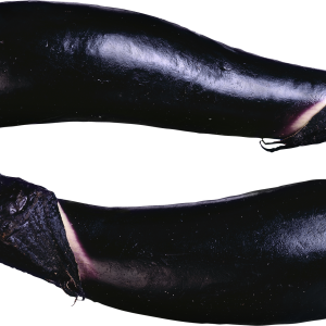 Eggplant PNG images free download