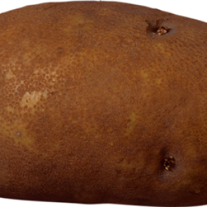 Potato PNG images