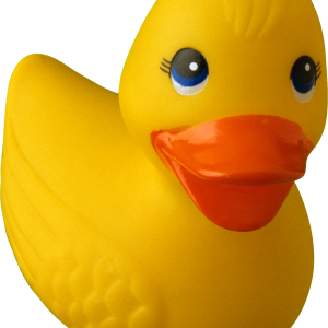 Rubber duck PNG