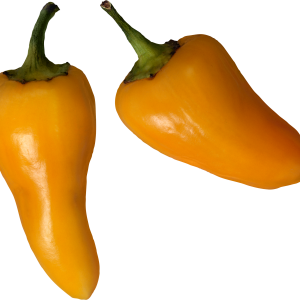 Bell pepper PNG