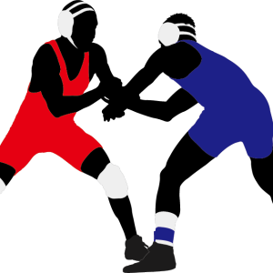 Wrestling PNG