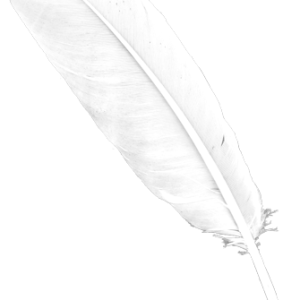 Feather PNG