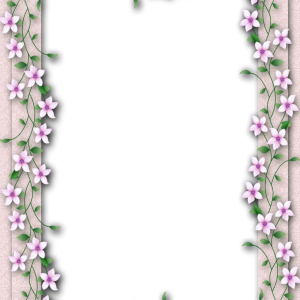 Floral frame PNG