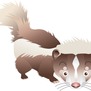 Skunk PNG