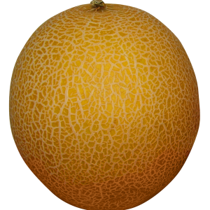 Melon PNG