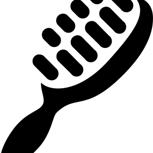 Hairbrush PNG