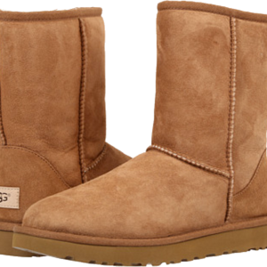 UGG boots PNG