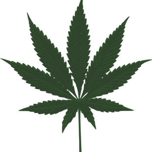 Cannabis PNG
