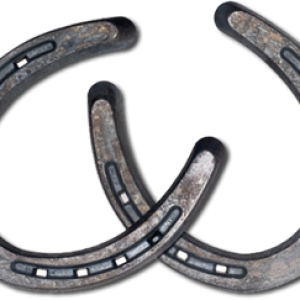 Horseshoe PNG