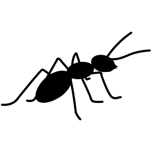 ant PNG