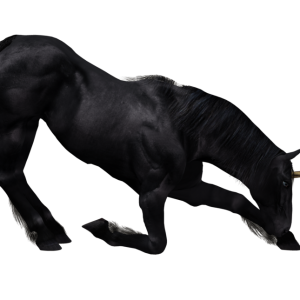 Unicorn PNG