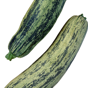 marrow PNG