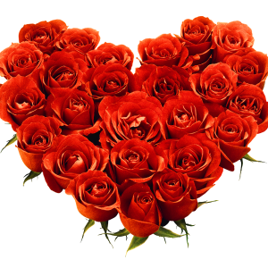 Bouquet of roses PNG image, free picture download