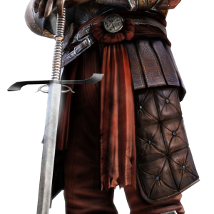 Medieval knight PNG