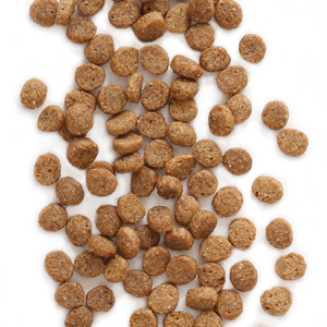 Dog food PNG