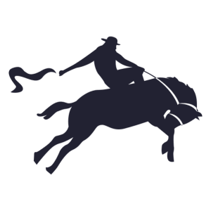 Cowboy PNG