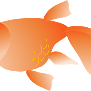 Goldfish PNG