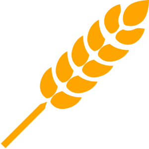 Wheat PNG