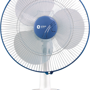 fan PNG