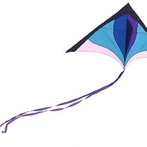 Kite PNG