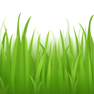 grass png image, green picture