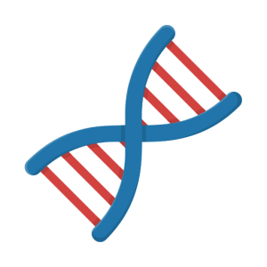 DNA PNG