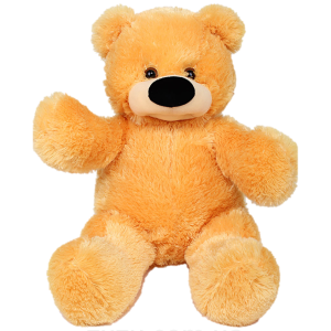 Teddy bear PNG