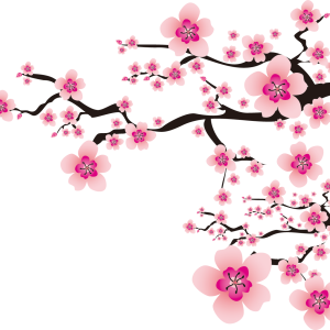 Sakura PNG