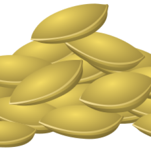 Pumpkin seeds PNG