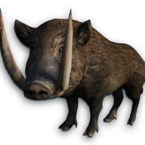 Boar PNG