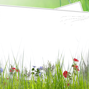 Picture, photo frame PNG