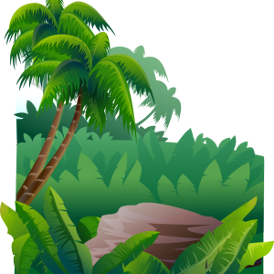 Jungle PNG