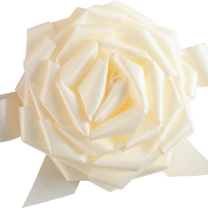 White rose PNG image, flower white rose PNG picture