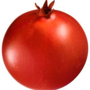 Pomegranate PNG