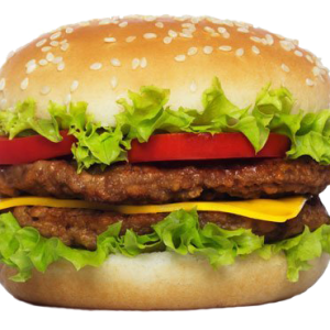 hamburger, burger PNG image