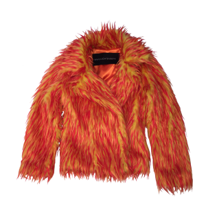 Fur coat PNG