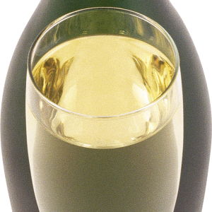 Champagne PNG transparent image