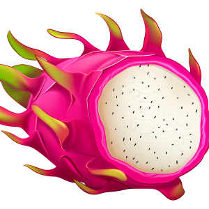pitaya PNG