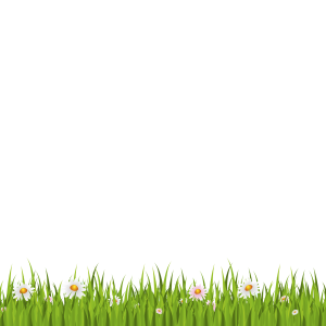 grass png image, green picture